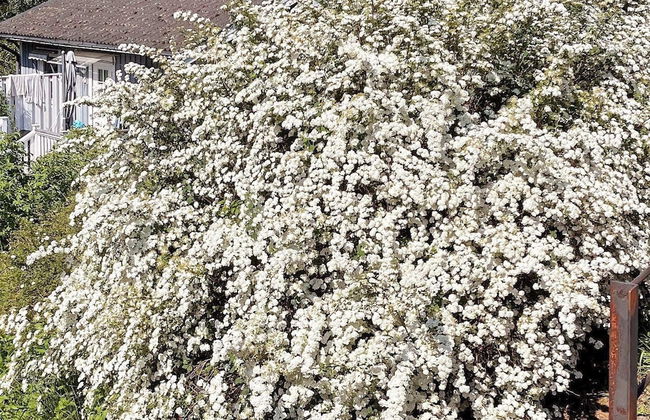 2 Person Holiday Home in Ingaro - Foto 16