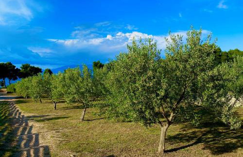 Villa Maginja - Photo 36