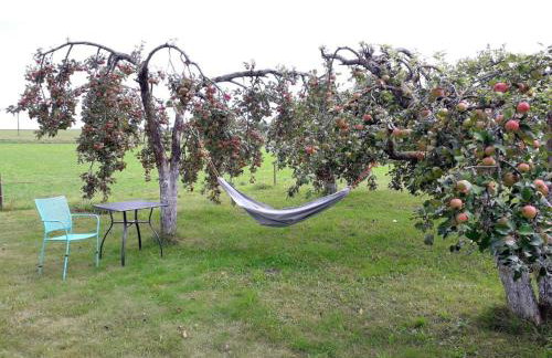 Pokoje. Apartament w Oklinach - Foto 25