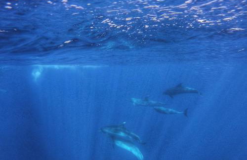 Home2Book El Encanto De la Torre I - Foto 37