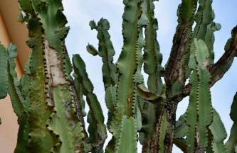 Boutique Hotel Ileas Village - Foto 12