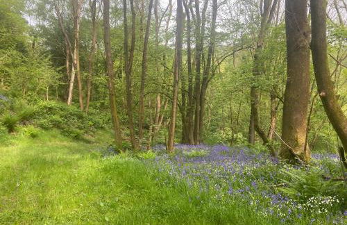 The Barn at Catacol - Foto 27