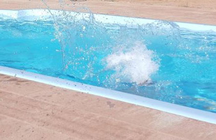 Domek przy Majątku Morgi - Foto 18