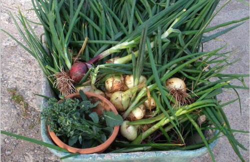 Upper Heath Farm - Stable Cottage Ludlow - Foto 45