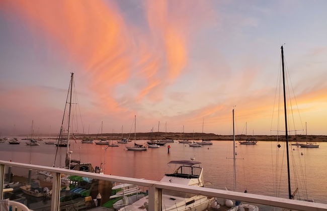 Gray's Inn & Gallery - Foto 72