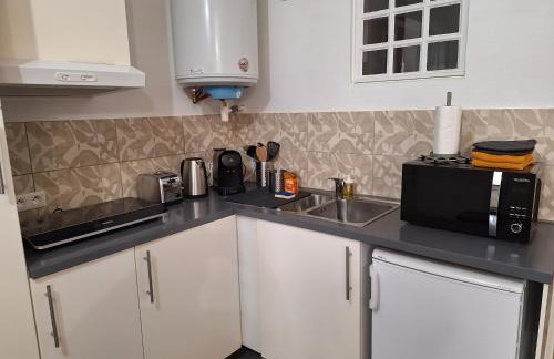 Bords de Loire hypercentre Orléans 2 personnes - Photo 9