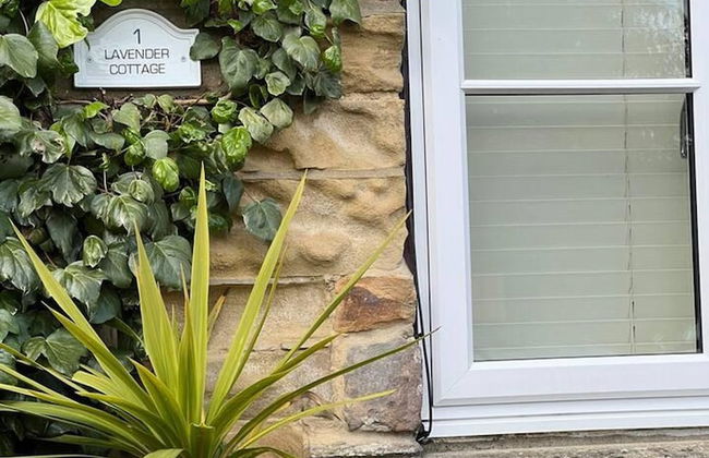 Lavender Cottage Grewelthorpe Nr Masham Ripon - Foto 14