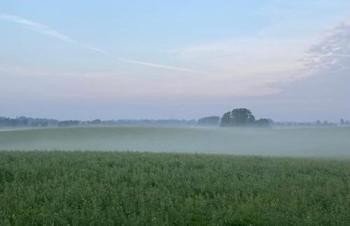 Ferienwohnungen Zur Biberburg - Foto 10