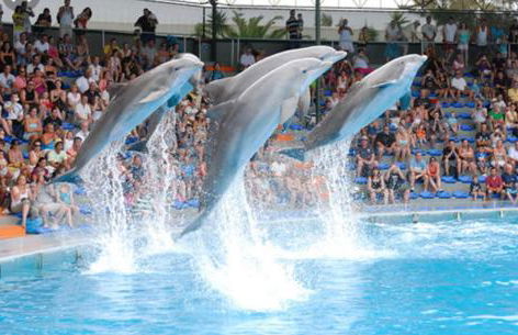 Fred E Kika Holidays - Foto 32