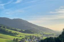 Ferienwohnung Bachklang Oberprechtal - Foto 16