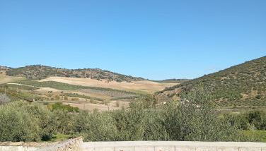 Casa Rural La Barranca - Foto 3, Garden