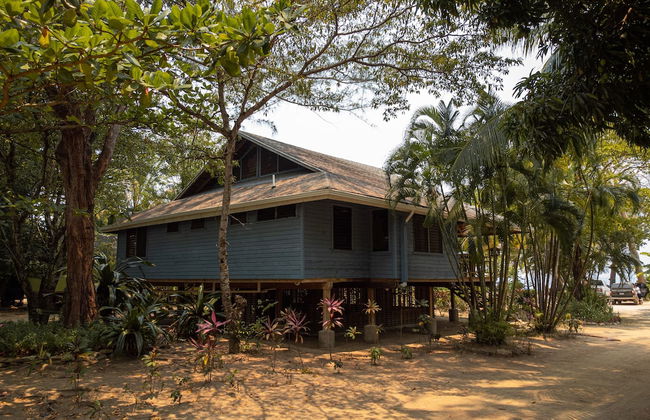 Tropical Breeze - Foto 8