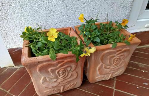 Holiday Home Ille - Foto 7