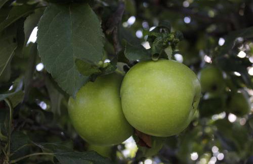 Dom na wodzie Mazury - Foto 34