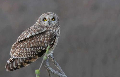 Sunrise Paradise - Foto 44