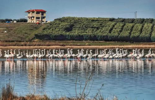 райский уголок - Foto 46