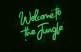 Appartement Suite Eden Jungle-nuit insolite pour couple ou solo - Foto 3