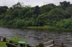 Pousada Siroba BEIRA RIO - Photo 31