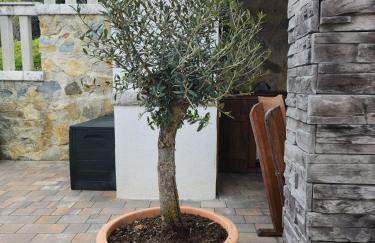 Vila Marija - Photo 6