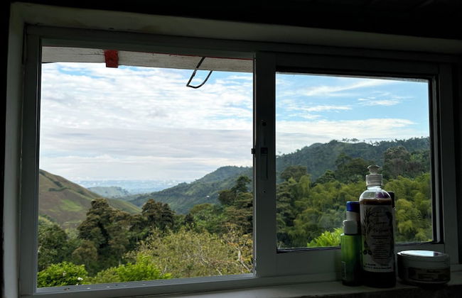 Finca La Macarena by Welttisch - Photo 35