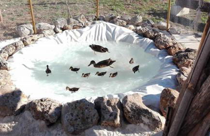 Masseria Sucéa - Foto 55