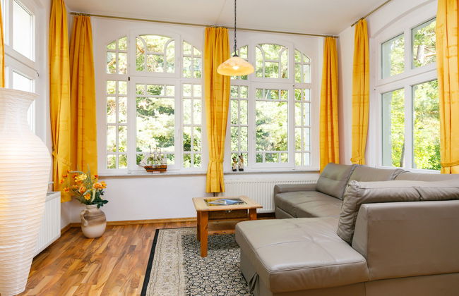 Sonnenblume - Foto 2