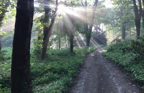 Wildfern Cottage by Birch Stays - Foto 13