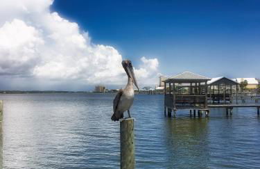 Gulf Shores Surf & Racquet Club - Foto 63