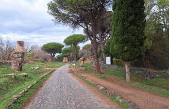 Pictadomus-viridis - Foto 29