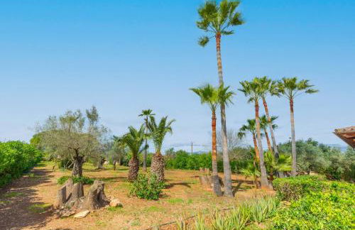 Es Garroveret in Marratx - Foto 90