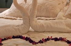 Casa Jardim Mar - Foto 30