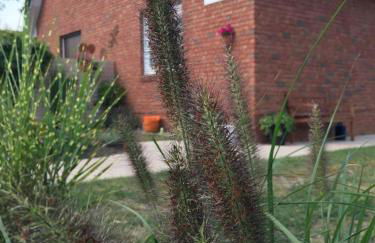 Ferienwohnungen Heideidylle - Foto 2