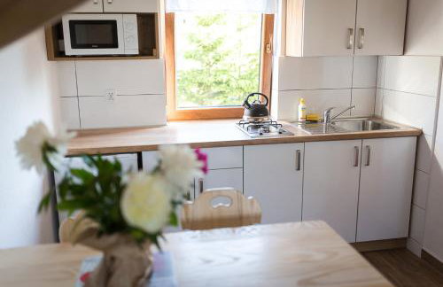 Bieszczadzkie Wzgórze Domki 724-472-882 - Photo 29