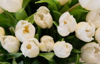 Elegantia Luxury Apartment Piazza del Popolo - Foto 20