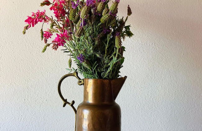 Podere La Chiusella - Foto 8