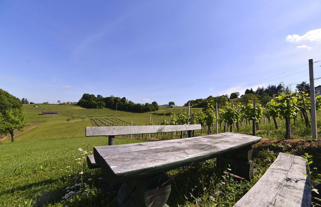 Apartments Vinska Trta - Photo 55