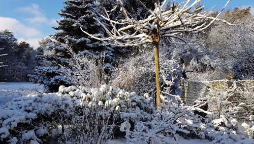 Holiday home in Coswig 3105 - Foto 2