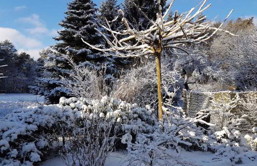 Holiday home in Coswig 3105 - Foto 2