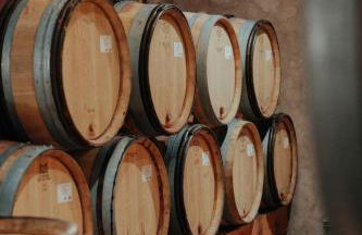 Gîte Clusel-Roch 6 personnes au cœur des Côte-Rôtie - Foto 25