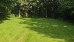 Haus Seezeit - Foto 4, Garden, Garden view