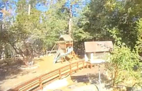 Serene and Magical Cabin w/Barrel Sauna and Fireplace - Foto 58