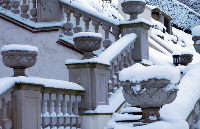 Schloss Thalheim - Photo 58