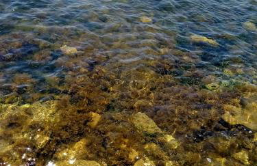 VILLA FLAMINGO San Pedro del Pinatar Beach House - Foto 40