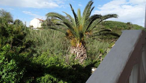 Vasiliki Comfort Apartments - Foto 4, Garden