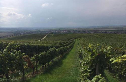 Wohlfühlen im rheinhessischen Backsteinhaus - Foto 30