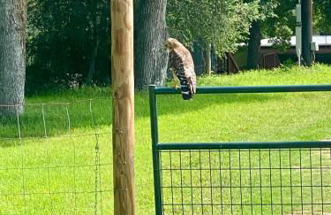 Private Cozy Hideaway with Deck Escape Austin 35mi - Photo 20