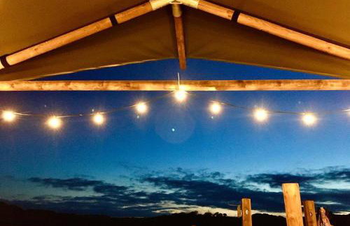 Luxury Safari Lodge-Sleeps 4 6-Deer Park-Dogs Ok - Foto 44