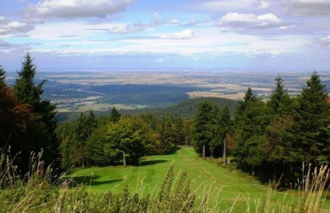 Wohnung Nahe Inselsberg Wanderwege - Foto 22