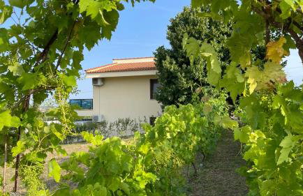 Serenity House - Foto 31