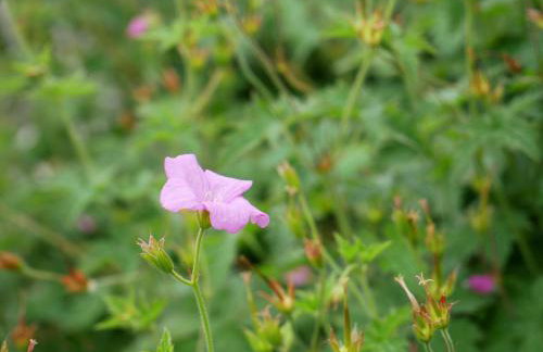 Ferienwohnung Veronika Heilbock - Foto 24